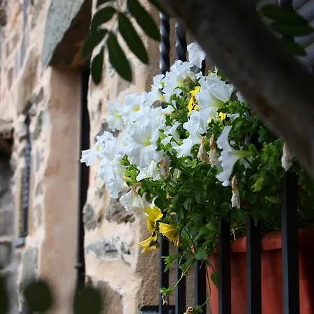 Country house La Casita De Paulino San Ciprian (Castile and Leon)